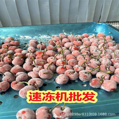 源桦方馒头速冻机大蒜冷冻加工设备樱桃冷冻机