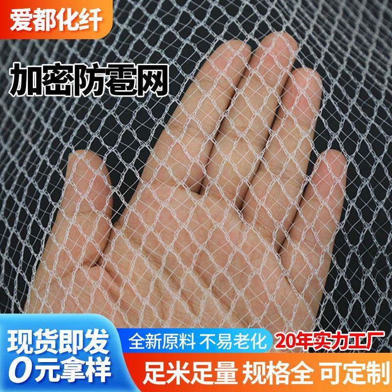 防雹网果园鱼塘防护网枸杞樱桃葡萄网大棚冰雹网防蝗虫挡