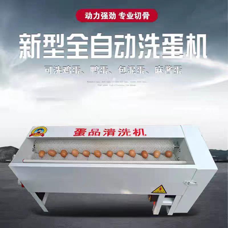 全自动商用小型洗蛋机蛋品清洗机泥蛋麻酱咸鸭蛋不锈钢鸡蛋清洗机