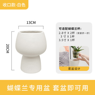 网红蝴蝶兰花盆专用套盆高脚兰花花盆陶瓷家用高级单支文心兰花瓶