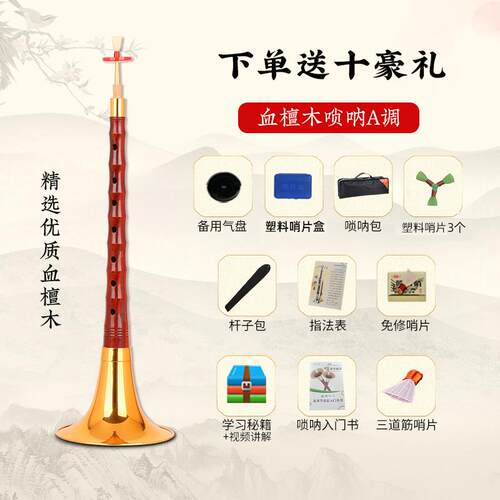 高档宏艺 呐乐器全套血檀木唢小檀木专业奏演d调初学入门喇叭叶初