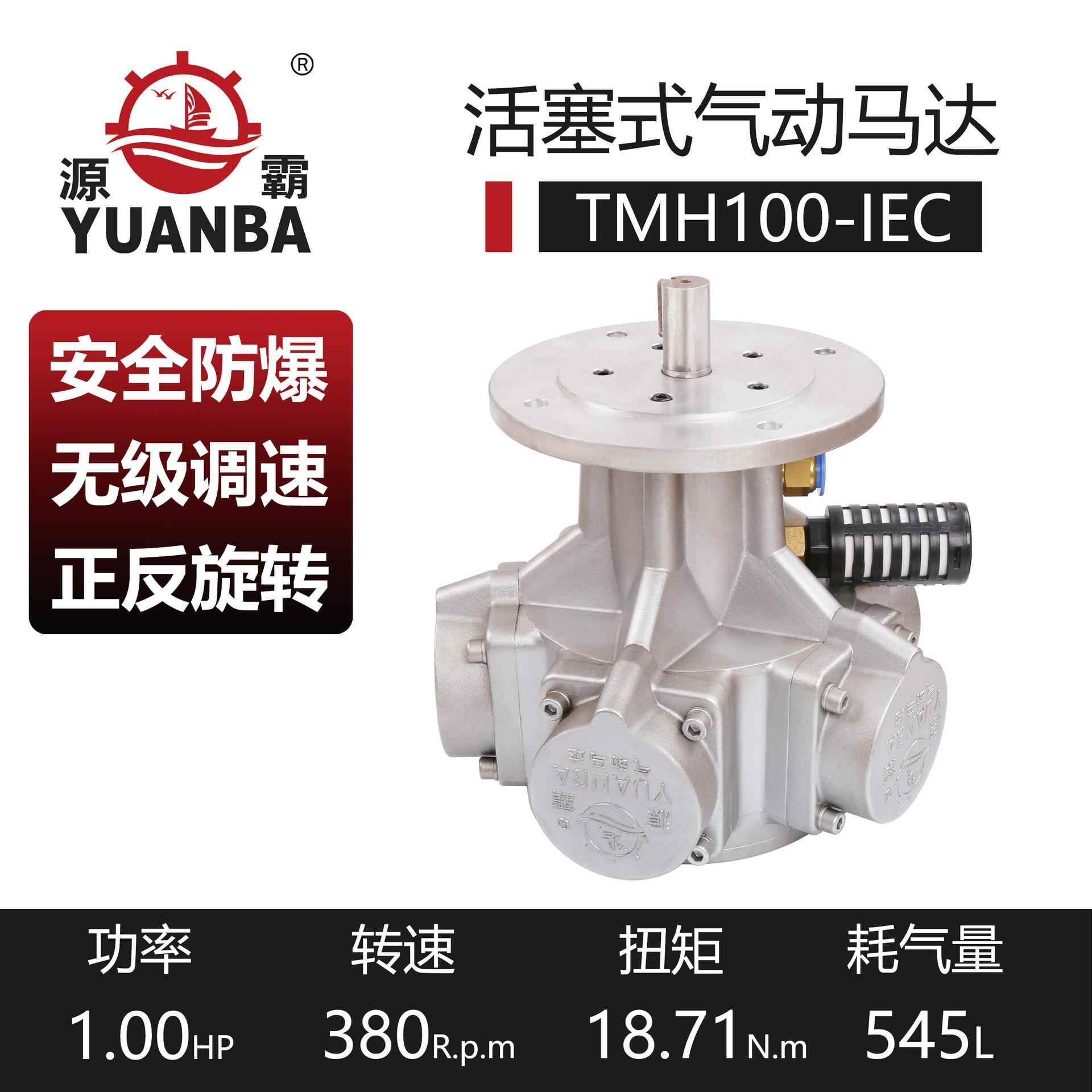 厂家直供瑞安源霸气动马达TM100-IEC带法兰气动泵活塞式高扭矩