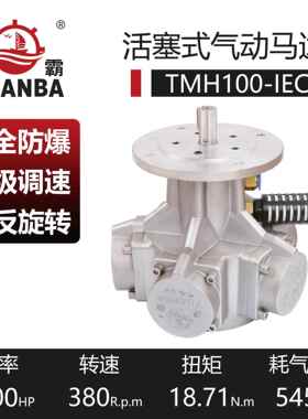 厂家直供瑞安源霸气动马达TM100-IEC带法兰气动泵活塞式高扭矩