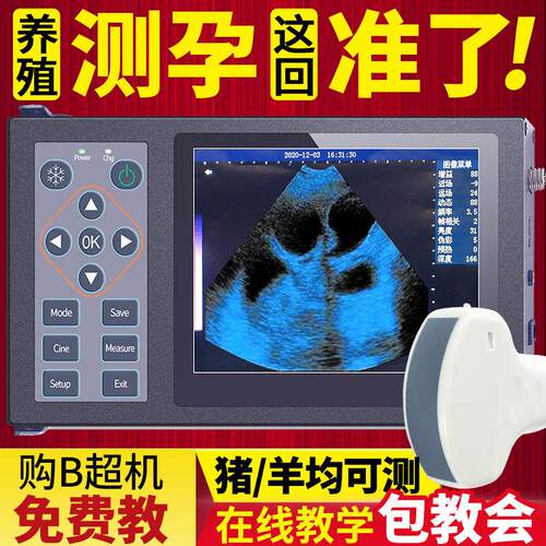 高清兽用b超机可携式羊牛用必超彩超机检测孕仪器背膘比超机母猪