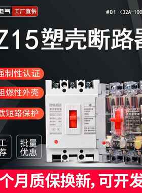 塑壳断路器DZ15空气开关过载短路保护2P3P32A40A63100A380V220V