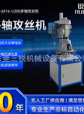 自动攻丝机RZ-6516-U200五金件多轴攻牙加工多头齿轮式攻丝机