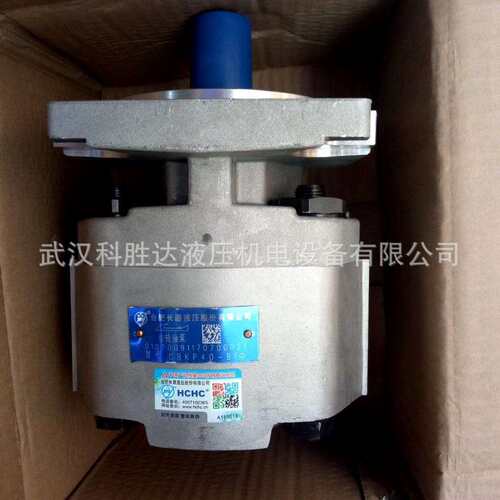 齿轮油泵CBKP100/80/63/50/40/32BFHL BFPL随车吊 双联泵钻机