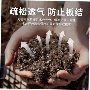 Potting organic succulent vegetable soil