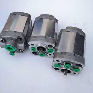 小型双向齿轮泵 微型液压油泵 小排量双向泵高压齿轮泵