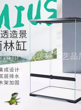 雨淋爬宠缸妙思造景超白玻璃箱热带雨淋植物动物飞龙守宫饲养箱