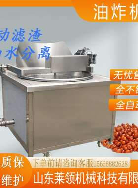 商用大型油炸炉炸豆腐机器全自动油炸机不锈钢油炸设备炸锅