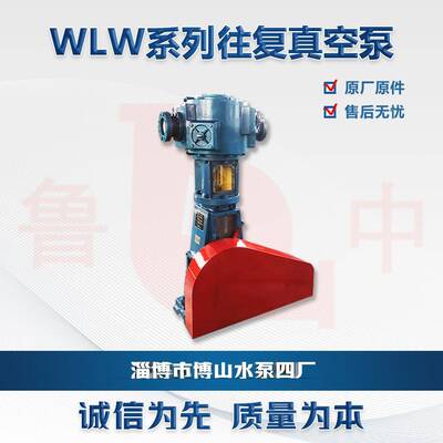 WLW-100型真空泵无油立式往复泵干燥过滤真空设备高真空度往复泵