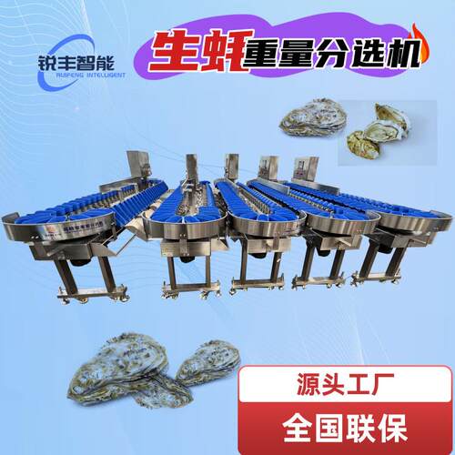牡蛎水产重量分级机海参分拣线自动鲅鱼黄花鱼大虾鱼块分选机