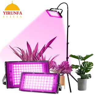 50W100W200W全光谱Led户外泛光灯温室植物蔬菜多肉支架生长补光灯