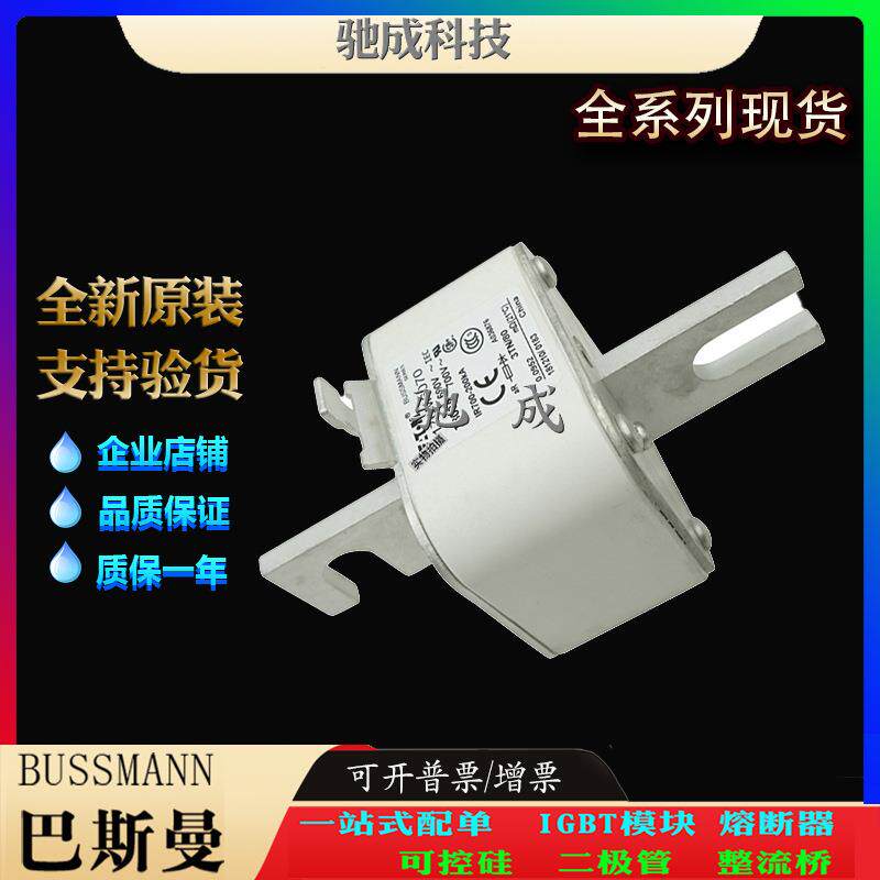 巴斯曼170M6069 170M6070 170M6071 厂家直供零售 快熔保险丝