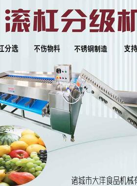 滚杠式核桃分级机不锈钢洋葱分选流水线可新款全自动山楂筛选设备