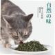 Natural Cat Organic nip Premium Toy