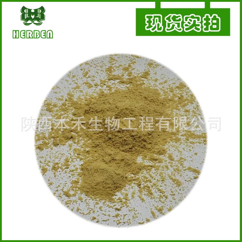 人参皂甙80%水溶性人参总皂苷人参茎叶提取物人参粉现货