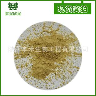 人参皂甙80% 水溶性 人参总皂苷 人参茎叶提取物 人参粉 现货本禾
