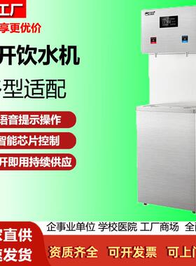 碧丽开水器商用380V智能直饮机即热节能反渗透 智控提示双出水