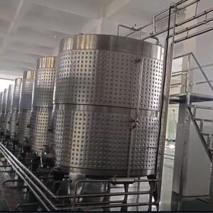 304桑葚酒发酵罐 自动温控+搅拌系统 年产50-500吨果酒发酵生产线