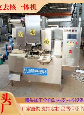 多核能不锈钢梨全自动去核欧拉加工功生产线 商用雪去皮去分瓣机