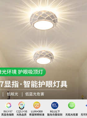 过道灯走廊灯北欧现代简约衣帽间楼梯灯具入户玄关阳台吸顶灯Z125