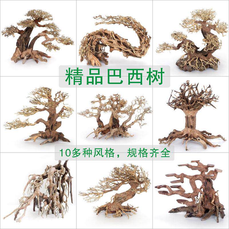 巴西沉木莫斯造景树纯手工鱼缸造景盆景树天然精品迎客松树树根树