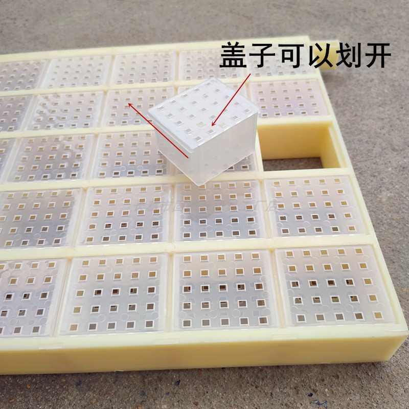 蜜蜂王笼塑料储王器 关王器蜂王存储盒 介王控王囚王笼蜂具