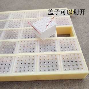 蜜蜂王笼塑料储王器 关王器蜂王存储盒 介王控王囚王笼蜂具