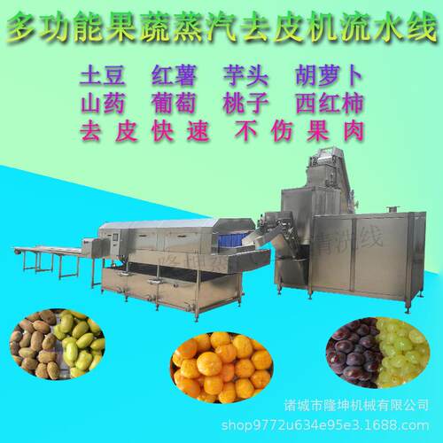 全自动不锈钢土豆去皮机 葡萄桃子蒸汽脱皮机 罐头薯条等去皮设备