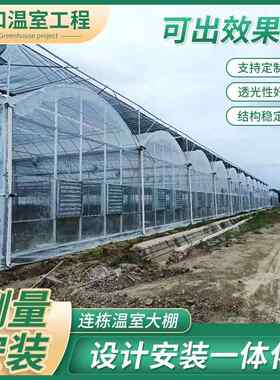 新型连栋温室大棚农业观光智能养植栽培玻璃温室建造简易蔬菜棚