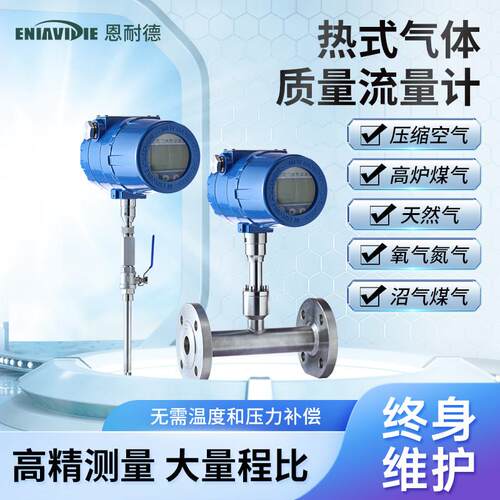 恩耐德热式气体质量流量计空气气体氮气氧气管段式插入式一体式