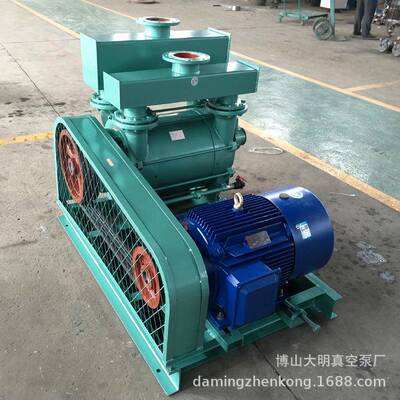 各水行业用2E1-202水环式/真空泵2BEA285022BBE202环式真空泵22KW