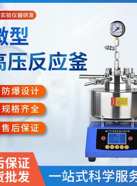 现货TGYF-B实验室小型高压反应釜不锈钢高温加热反应釜加氢反应釜