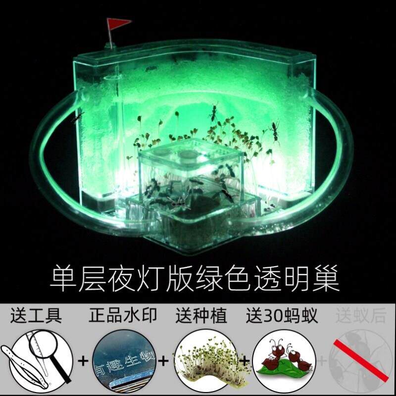 笼子王国蚂蚁城堡蚂蚁生态箱儿童蚂蚁农场玩仿生老师群蚂蚁窝沙丘