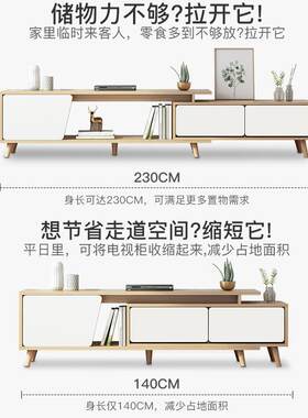 矮柜储物柜去客厅化自由组合柜子电视柜下方置物架伸缩书柜收纳柜