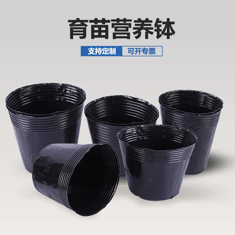 袋园艺育苗育苗营养钵杯盆盆育苗一次性花卉塑料种植苗圃育苗黑色,鲜花速递/花卉仿真/绿植园艺,花盆,淘宝优惠券,粉丝福利购,淘宝优惠卷