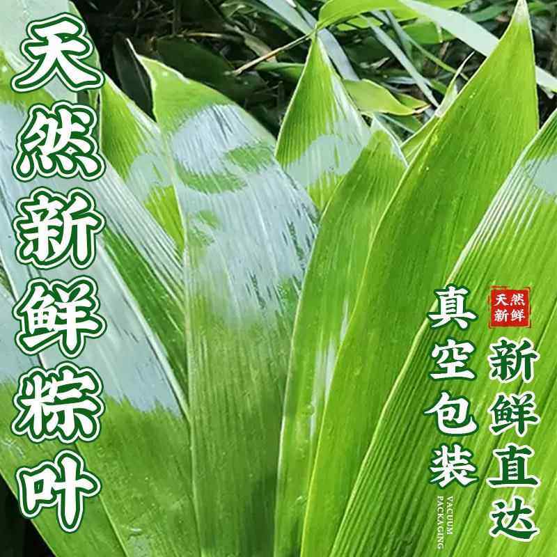 天然扎包粽子的专用线食品级香草裹粽绳子捆绑螃蟹卤肉马莲水草绳