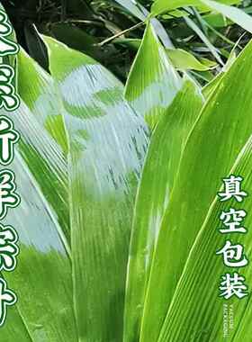天然扎包粽子的专用线食品级香草裹粽绳子捆绑螃蟹卤肉马莲水草绳