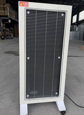 豪华石墨烯取暖器2200瓦制热30-50平方定时倾倒断电