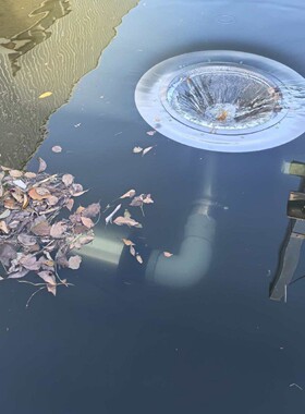 水面垃圾自动收集设备操作简收集能力强絮状物垃圾