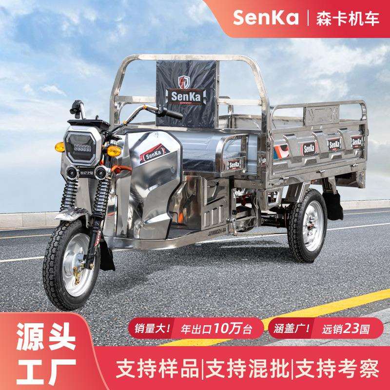厂家新款不锈钢电动三轮车家用拉货带棚载重农用出口跨境EEC电瓶