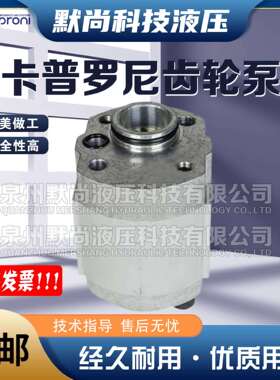 卡普罗尼Caproni齿轮泵10A1.25X001 10A1.6X001 10A2.65X001油泵
