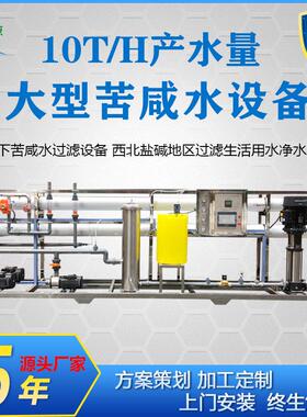厂家定制10吨苦咸水设备西北盐地区地下水过滤机农田灌溉净化器