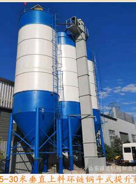 0米高罐上料斗式提升机NE100型水泥粉装罐提升机