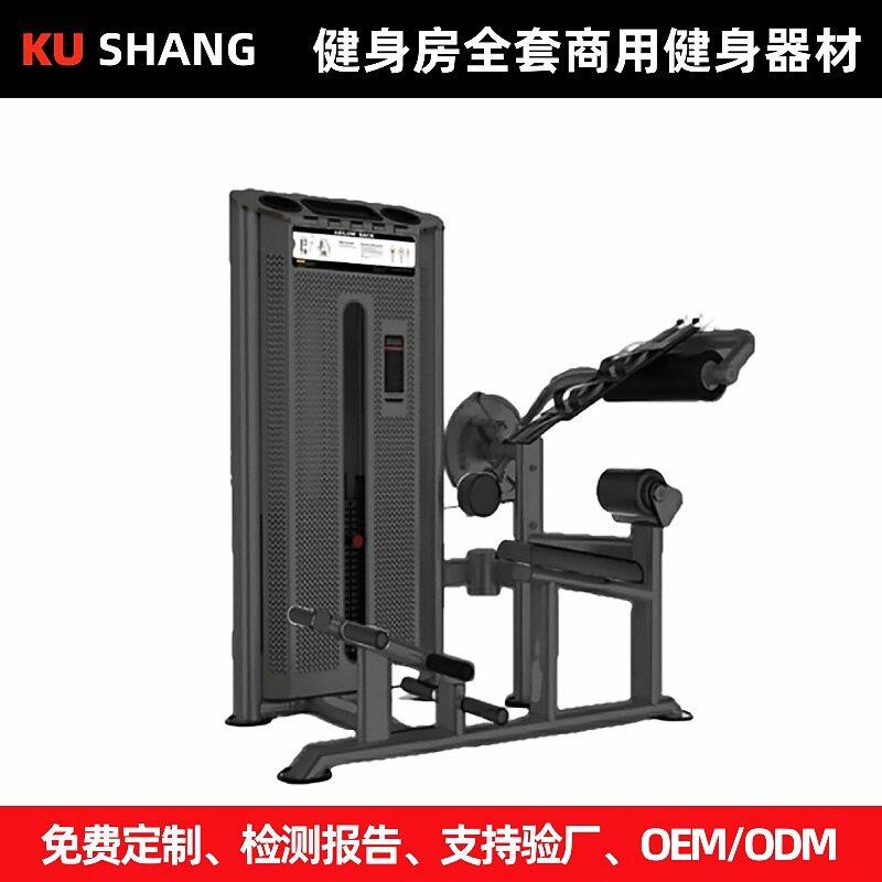 腹背肌商用健身器材大全拉背坐式转体背部腿部腹部力量训练器