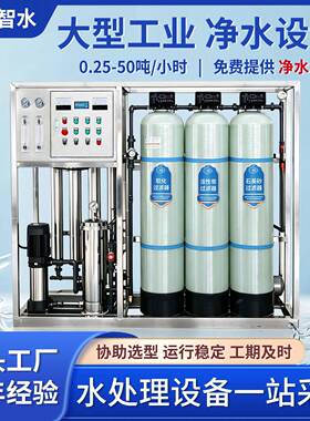工商用反渗透净水设备江河湖泊除杂质泥沙全自动过滤器直饮水设备
