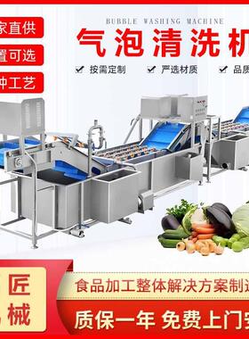 草莓杨梅蔬菜气泡清洗机小龙虾气泡清洗机洗菜机压喷淋清洗线
