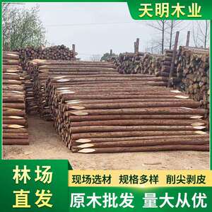 天明工地打桩木河道木桩园林绿化支撑自有林场量大品质可靠